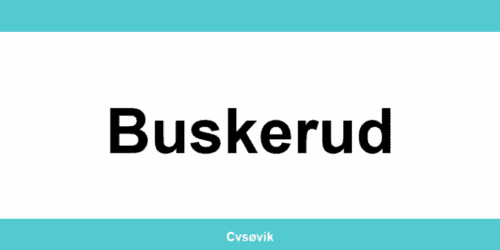 Kontakt Clas Ohlson-butikker i Buskerud