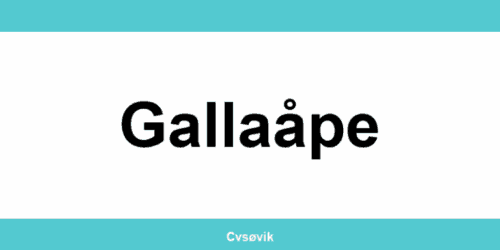 Kontakt Clas Ohlson-butikker i Gallaåpe