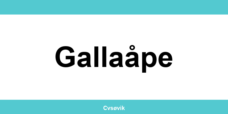 Kontakt Clas Ohlson-butikker i Gallaåpe