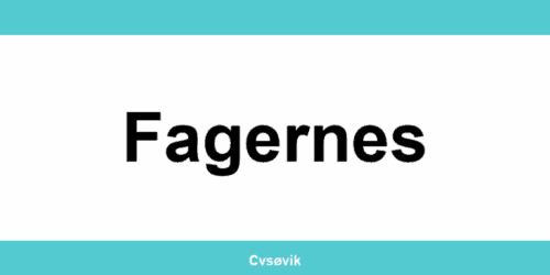 Kontakt Clas Ohlson-butikker i Fagernes