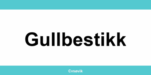 Kontakt Clas Ohlson-butikker i Gullbestikk